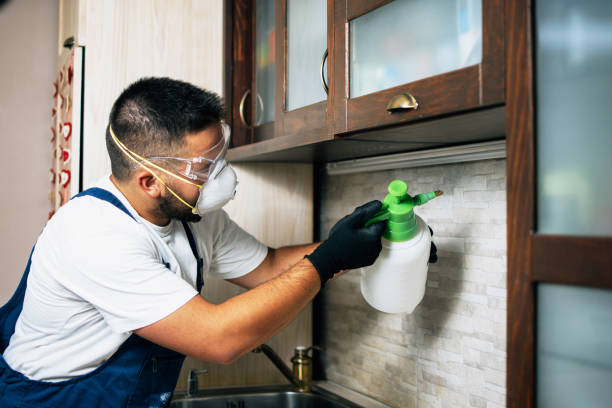 Best Pest Control Treatment  in Wyncote, PA