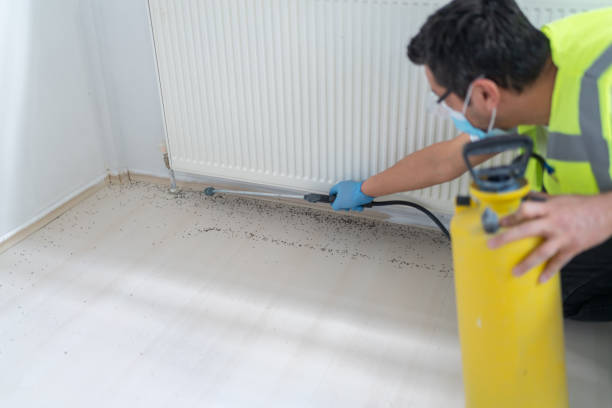 Best Local Pest Control Services  in Wyncote, PA